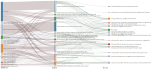 Visitor Flow Diagram.